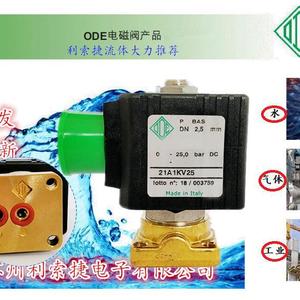 Vanne solénoïde Ode 21A1KV25 2,5 mm DC 24V 12W pour utilisation industrielle eau/gaz - Product Image 1