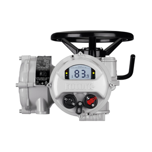 แอคชูเอเตอร์พร้อมเกียร์ IW IB IS สำหรับควบคุมลูกบอล EWT - Product Image 6