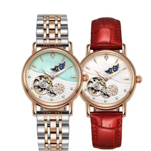 Dulunwe Luxury Women's Mechanical Watch 3ATM Casual Waterproof Design with Automatic Wrist Watches Quartz Watches Gift for Women