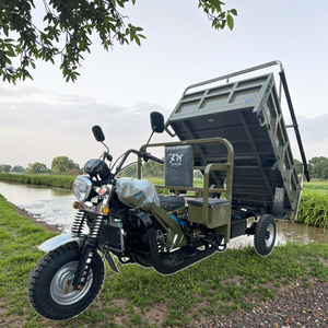 Fabbrica 200CC doppio raffreddato ad acqua Zongshen motore a tre ruote moto per il trasporto agricolo di benzina carico triciclo - Product Image 1