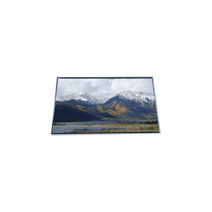 P550HVN06.8 Panel de Pantalla LCD Original al por Mayor de 55.0 Pulgadas - Product Image 1