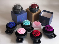 Promotionnel, divers modèles, utilisant des fleurs et des plantes stabilisées, ours en roses éternelles avec collier, roses stabilisées