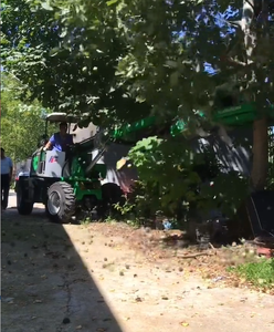 <span class=keywords><strong>Cosechadora</strong></span> eficiente <span class=keywords><strong>de</strong></span> <span class=keywords><strong>nueces</strong></span> y avellanas <span class=keywords><strong>Cosechadora</strong></span> vibratoria <span class=keywords><strong>de</strong></span> frutas - Product Image 5