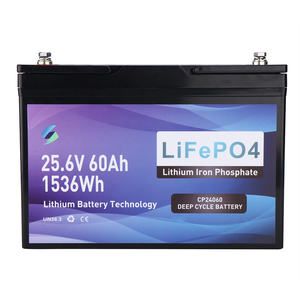 Boden reinigungs maschine 24V 36V Lithium-Ionen-Batterien für Boden wäscher und Kehrmaschinen batterien - Product Image 3