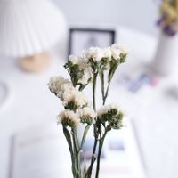 Dekorasi rumah Boho alami pernikahan buket bunga kering dengan kelopak mawar Lavender kayu putih kapas buluh Tengah