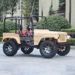 Vehículo Utilitario Todoterreno Jeep de Gasolina de 250 CC con Certificación CE para Negocios de Alquiler Comercial para Adultos y Entretenimiento al Aire Libre - Product Image 1