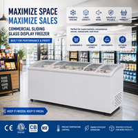 Congelador Comercial para Helados X-MING con Puerta Corredera de Vidrio, Certificado ETL y NSF para Cadenas de Supermercados