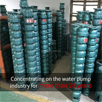 Pompe submersible pour puits profond de 400 mètres, pompe centrifuge agricole multi-étages en fonte, alimentation moteur d'irrigation