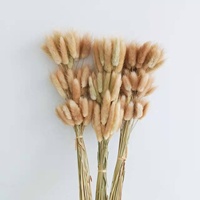 Ins热卖干兔/兔子尾草装饰/家居/婚礼插花INS