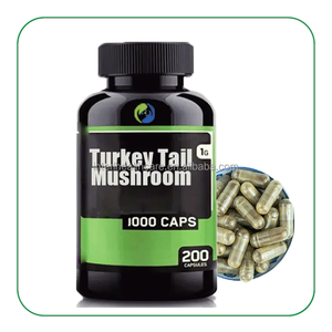 Extracto de seta de cola de pavo orgánico Ausreson, suplemento de 500mg, cápsulas de seta de cola de pavo a granel - Product Image 3