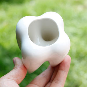 2022 creativo a forma di dente penna in ceramica portamatite portamatite vaso per piante succulente per ufficio - Product Image 3