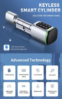 Serrure à cylindre intelligente personnalisée 60 + 40 30 + 60 Euro mortaise Alexa Tuya Ttlock mot de passe sans clé remplacer Euro serrure à cylindre électronique