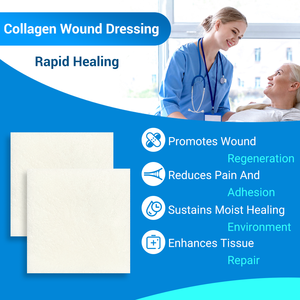 BLUENJOY <span class=keywords><strong>Pansement</strong></span> avancé en collagène pour la cicatrisation des plaies chirurgicales cutanées, soin biocompatible, pour usage médical et dentaire - Product Image 1