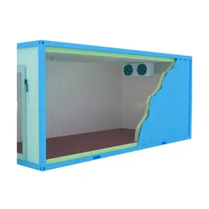 20 Feet Container Cold Storage Freezer Cold Room For Fish Meat Food Contentor Freezer