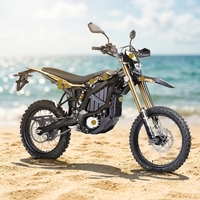 Vélo électrique 2026 Wheelie Control Surron Ultra Bee hp 24.5KW 74v60ah avec clignotants et chargeur US/Europe/Royaume-Uni