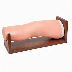 Modelo Completo de Inyección Intraarticular para Articulación de <span class=keywords><strong>Rodilla</strong></span>: Cápsula, Ligamentos Cruzados, Ligamento Rotuliano, Menisco, Tibia, Fémur y Rótula - Product Image 1