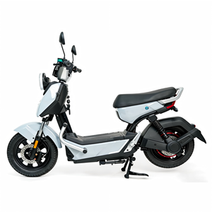 Nouveau Vélo Électrique Y2-FXZ, Scooter Électrique, <span class=keywords><strong>Moteur</strong></span> Étanche, Vélos de Livraison Alimentaire Électriques 1000W, Prix Moto - Product Image 1