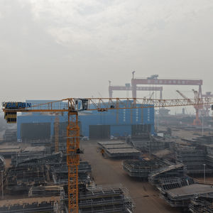 رافعة برجية ذاتية التركيب بدون قمة من داهان طراز <span class=keywords><strong>Qtz80</strong></span> وQtz100 وQtz63 وQtz125 للبناء والإنشاءات للبيع - Product Image 2