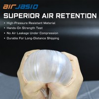 Coussin d'air protecteur transparent en PA+PE recyclé et écologique pour l'emballage d'expédition