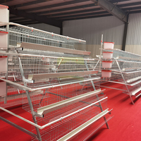 Nouvelle cage à poulets en acier galvanisé à chaud de type A à 4 portes et 4 niveaux, avec collecte automatique des œufs, haute résistance à la corrosion, CE