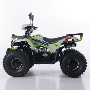 Tao Motor 2024 nouveau ATV <span class=keywords><strong>125</strong></span> pas cher <span class=keywords><strong>chinois</strong></span> automatique chaîne entraînement ferme ATV 125cc ATV - Product Image 5