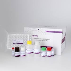 Kit de test PRV gE <span class=keywords><strong>IgG</strong></span> anticorps <span class=keywords><strong>ELISA</strong></span>-blocage <span class=keywords><strong>ELISA</strong></span> pour la détection du virus de la pseudorage porcine, conforme CE/OIE - Product Image 2