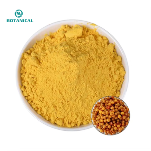 Poudre lyophilisée de poudre de fruit d'argousier de vente chaude - Product Image 1