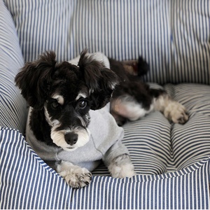 Venta al por mayor desmontable mascota <span class=keywords><strong>perro</strong></span> elevador asiento de <span class=keywords><strong>coche</strong></span> <span class=keywords><strong>cama</strong></span> de asiento trasero para todo tipo de <span class=keywords><strong>coche</strong></span> comodidad de viaje para perros - Product Image 4