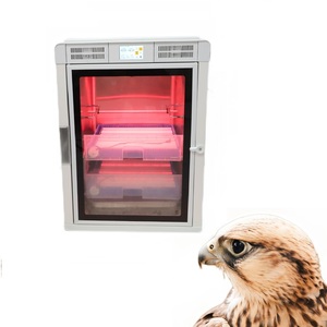 Incubateur numérique pour œufs de poule Mini incubateur pour <span class=keywords><strong>oiseaux</strong></span> ou monticuleurs-constructeurs <span class=keywords><strong>Acheter</strong></span> incubateur pour œufs de poussin Chine - Product Image 1