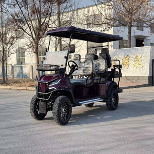 Voiture <span class=keywords><strong>de</strong></span> golf électrique haut <span class=keywords><strong>de</strong></span> gamme avec <span class=keywords><strong>barre</strong></span> <span class=keywords><strong>de</strong></span> <span class=keywords><strong>son</strong></span> pour écouter <span class=keywords><strong>de</strong></span> la musique sur la plage - Product Image 5