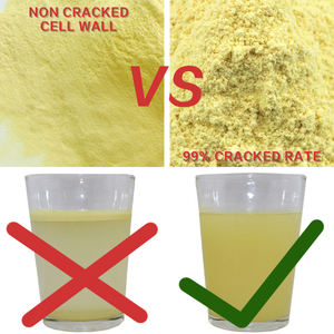 QINSHANTANG حبوب اللقاح الصفراء العضوية استخراج مسحوق حبوب الصنوبر المكملات الغذائية العشبية طبل العلامة التجارية الخاصة الصينية مسحوق حبوب لقاح الصنوبر - Product Image 2