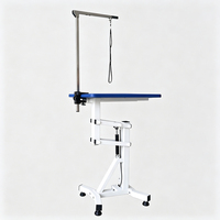 Table de toilettage pour chien électrique hydraulique robuste avec levage pneumatique et bras réglable pour grands chiens
