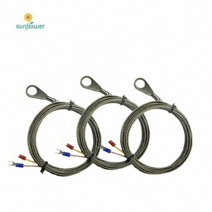 カスタマイズされたベアリング温度センサーPT100 - Product Image 4