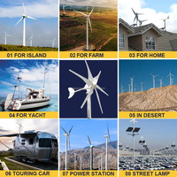 Éolienne à axe vertical haute efficacité, couleur personnalisée, 1 kW, 24 V, 48 V, pour utilisation agricole, zones éloignées