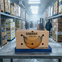 Caisse à fruits professionnelle en plastique robuste à paroi épaisse de 4 mm, résistante aux UV, 250x200x80mm, pour la vente en gros