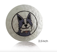HS balle à mâcher pour animaux de compagnie haute élasticité ETPU chien chiot balle Interactive en plein air jouet d'entraînement jouets boule à mâcher