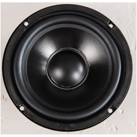 Haut-parleur de plafond professionnel 6,5 pouces 8 ohms 30-50 Watts pour sonorisation DIY – Fabrication chinoise