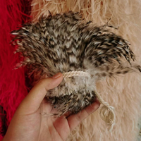 Plumes de coq grizzly en gros, grises, couleur chinchilla, en guirlande, pour la fabrication de mouches de pêche à la mouche, fournitures d'artisanat en vrac