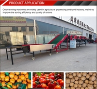 8-traps sorteermachine voor groenten en fruit, knoflook, ui, sinaasappel, aardappel, sorteermachine op maat, landbouwmachines