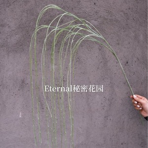 Branche de saule artificielle Secret Garden 120 cm, verte, en plastique souple, pour décoration murale de mariage et de maison - Product Image 5
