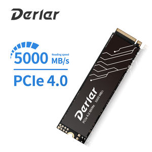 OEM M.2 2280 NVMe PCIE4.0 SSD 5000 MB/S 512GB 1TB 2TB 4TB 2280 SSD dizüstü ve masaüstü için Derlar M.2 NVMe katı hal sürücü - Product Image 4
