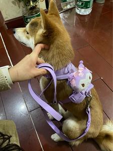 Correa de lujo recubierta de PVC suave hebilla de cinturón femenino regalo promocional correa de perro de lujo y Collar personalizado para perro pequeño - Product Image 3