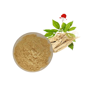 Bột Nhân Sâm Đỏ Chiết Xuất Nhân Sâm Đỏ Ginsenosides - Product Image 2