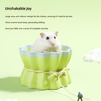 Rumah Pendingin Keramik untuk Hamster, Kandang Es Musim Panas untuk Guinea Pig dan Hamster Suriah, 4 Model, Grosir