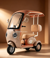 Venta Directa de Fábrica, Triciclos Eléctricos de Acero Personalizables, Modernos y Nuevos, Motor sin Escobillas de 60V, Autonomía Superior a 60 km, para Uso Doméstico