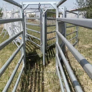 Panneaux de passage <span class=keywords><strong>pour</strong></span> bétail, enclos <span class=keywords><strong>pour</strong></span> moutons, panneaux mobiles galvanisés, couloir <span class=keywords><strong>pour</strong></span> bétail, piste de course, enclos, clôture - Product Image 2