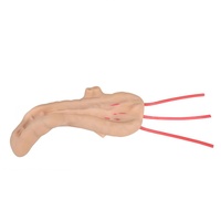 Modelo de Simulación Quirúrgica Laparoscópica para Pancreatoojenojoestomía, Módulo de Práctica de Sutura y Corte