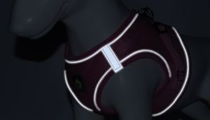 Chaleco de malla reflectante Correa de nailon Arnés para mascotas - Product Image 4