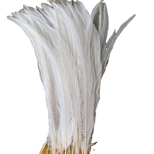 <strong>White</strong> Plumas Long Tail Artificial <strong>Pheasant</strong> Feather for Party Carnival Home Wedding Vase Holiday Decor DIY Craft Costume - Product Image 1
