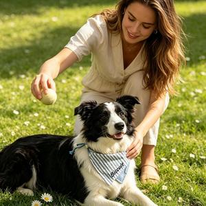 Bandana pour chat personnalisé avec nom brodé, réglable, rayé, doux pour la peau, foulard triangulaire pour animaux de compagnie, cadeau pour la maison - Product Image 5